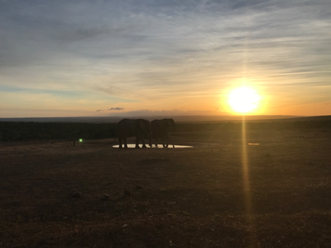 Addo Elephant National Park - Unieke zonsondergang vanaf onze slaapplek
