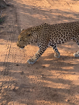 Rondreis van Johannesburg naar Kaapstad - Machtig!