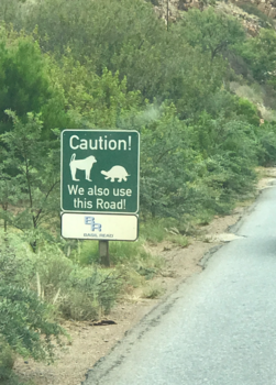 Rondreis van Johannesburg naar Kaapstad - Let op!!!