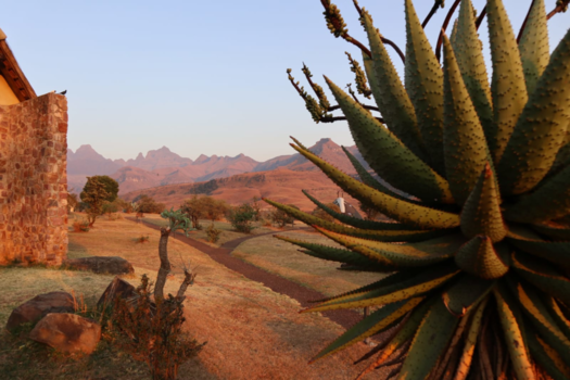 Rondreis van Johannesburg naar Kaapstad - Drakensgebergte, prachtige omgeving