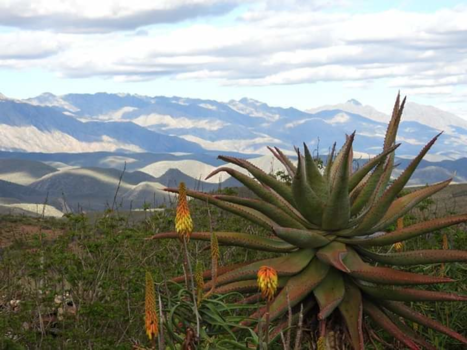 Rondreis van Johannesburg naar Kaapstad - Overweldigend uitzicht.