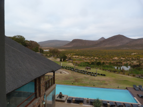 Aquila Private Game Reserve - aquila in de morgen