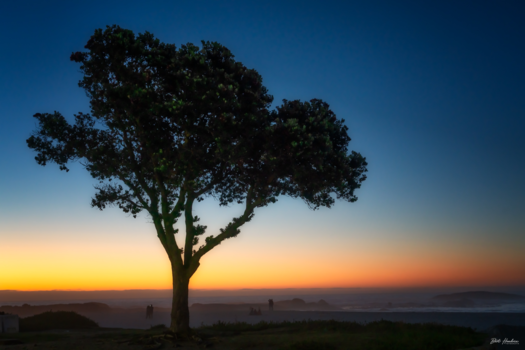 Kaapstad - Camps Bay