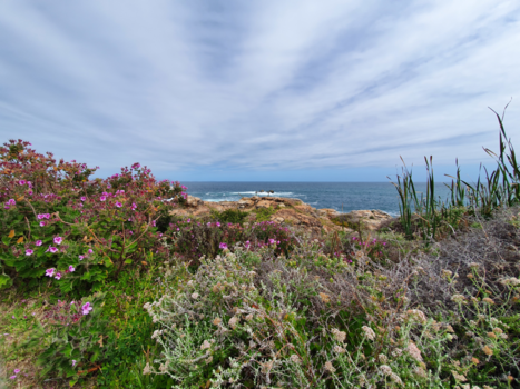 Rondreis van Johannesburg naar Kaapstad - Hermanus view