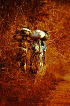 Noordwest - Mysterieuse meisjes in het riet