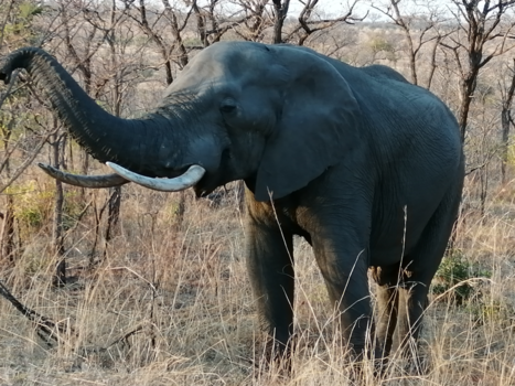 Rondreis van Johannesburg naar Kaapstad
