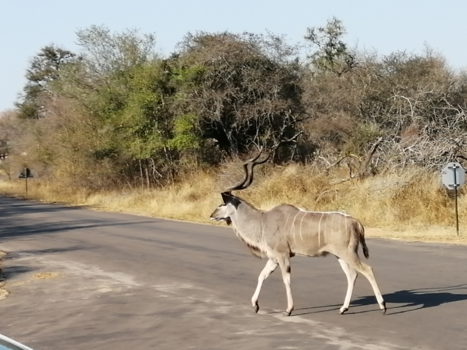 Rondreis van Johannesburg naar Kaapstad