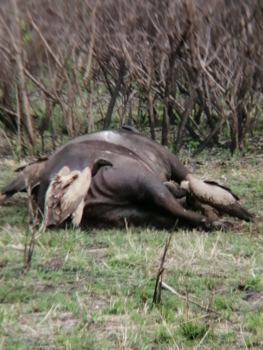 Rondreis van Johannesburg naar Kaapstad - Honger