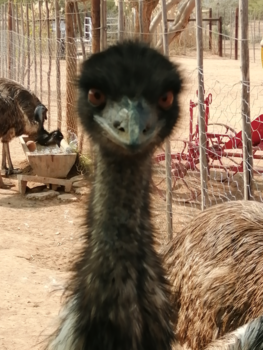 Rondreis van Johannesburg naar Kaapstad - Heb ik iets van je aan?