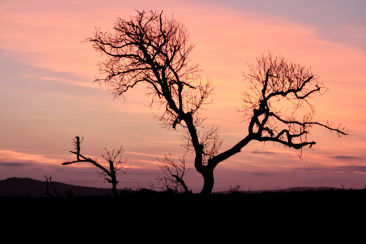 Rondreis van Johannesburg naar Kaapstad - Alleen maar genieten!