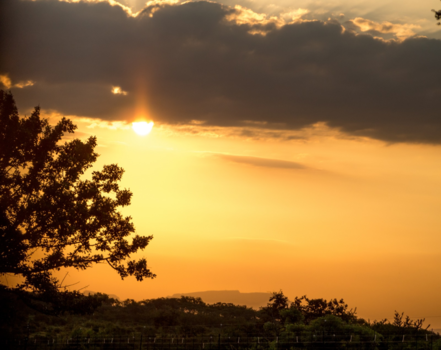 Krugerpark - Ook de weg naar huis is genieten