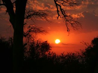 Krugerpark - Sunrise..
