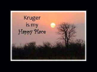 Krugerpark - Spreekt voor zich