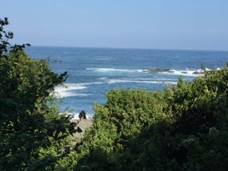 Tsitsikamma National Park