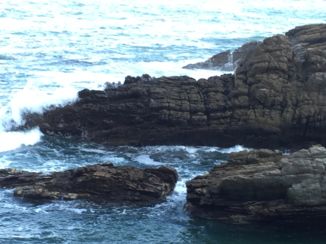 Tsitsikamma National Park