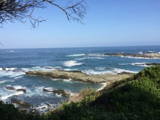 Tsitsikamma National Park