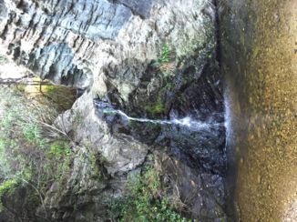 Tsitsikamma National Park