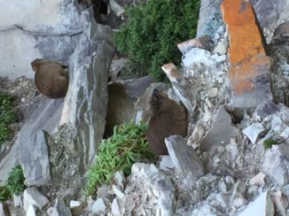 Tsitsikamma National Park