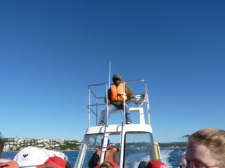 Plettenbergbaai - Walvisspotter