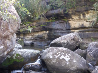 Royal Natal National Park - Op naar de Cascaden