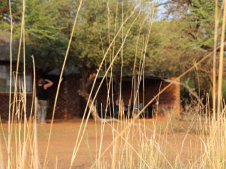 Pilanesberg National Park - Verblijf Pilanesberg