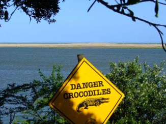 Saint Lucia - Ja, beestjes in het water