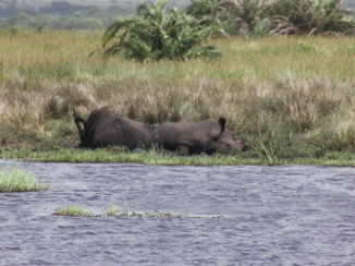 KwaZulu-Natal - Hluhluwe-Imfolozipark