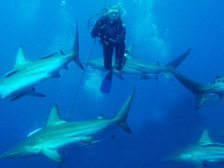 KwaZulu-Natal - Umkomaas