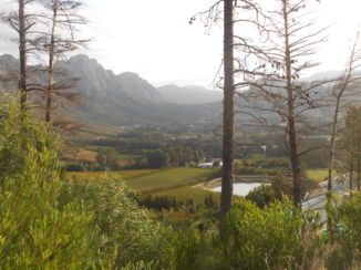 Garden Route - Franschhoek