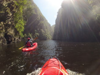 Tsitsikamma National Park