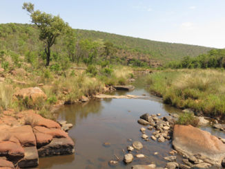 Welgevonden Game Reserve - Afrikaans landschap