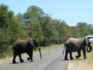 Zuid-Afrika