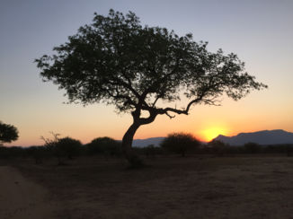 Zuid-Afrika - Zuid afrika