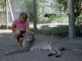 Zuid-Afrika - Cheetah sanctuary in Oudshoorn