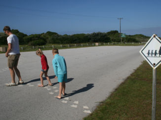 Zuid-Afrika - cape recife nature reserve