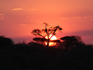 Zuid-Afrika - Zonsondergang bij de Sunsetdam, Lower Sabie, Krugerpark