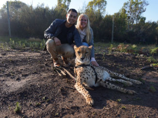 Zuid-Afrika - Tenikwa Wildlife