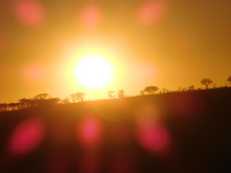 Zuid-Afrika - Zonsopkomst.