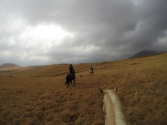 Zuid-Afrika - Clarens