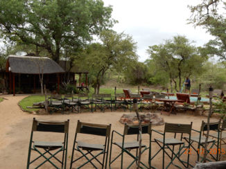 Zuid-Afrika - Shindzela bushcamp