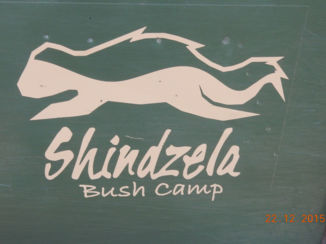 Zuid-Afrika - Leukste ervaring ooit