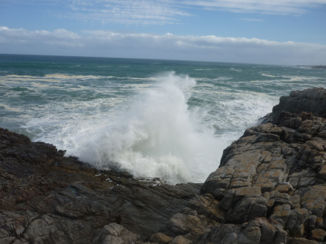 Zuid-Afrika - Sievers' Punt