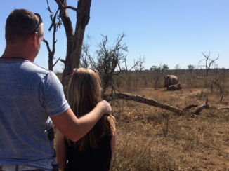 Zuid-Afrika - Dicht bij de neushoorns