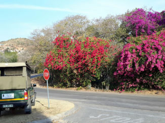 Zuid-Afrika - Ons vervoermiddel ongeveer deze gehele reis.