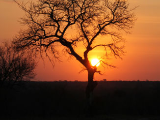 Zuid-Afrika - De meest bijzondere luchten...