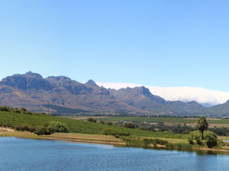 Zuid-Afrika - Stellenbosch