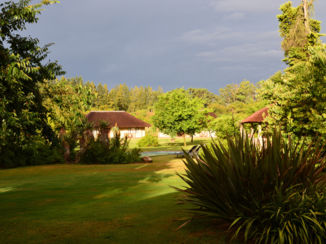 Riksja Zuid-Afrika - Sun after the rain