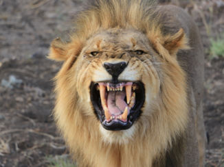 Noordwest - Wie is hier de baas!