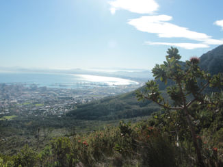 Zuid-Afrika - uitzicht tijdens de beklimming van de Tafelberg