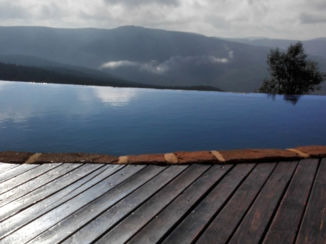 Zuid-Afrika - Ergens in de bush vlakbij Johannesburg